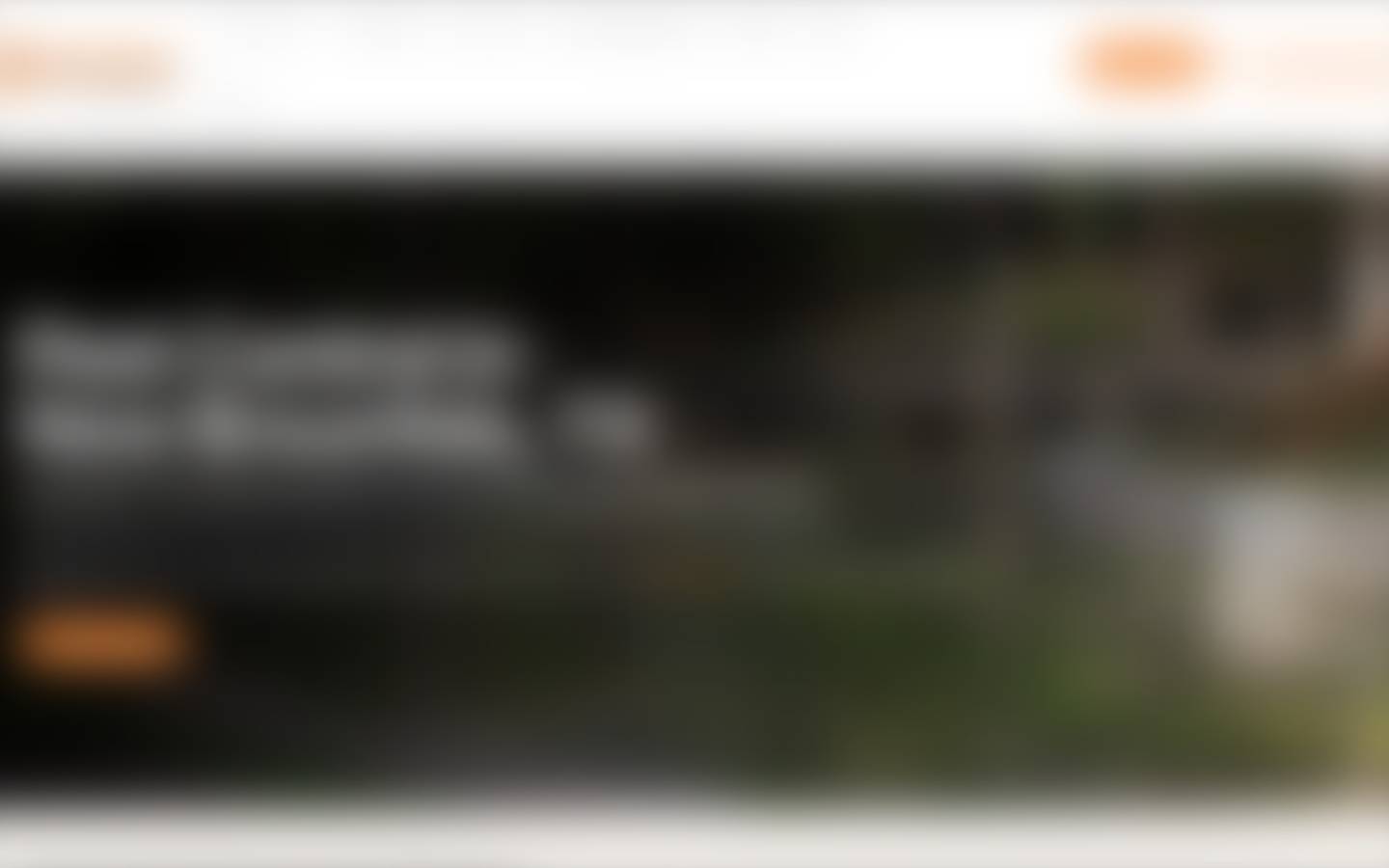 First screen of the Pest control, town 4 page at 1440 pixels wide, blurred so only the layout shows